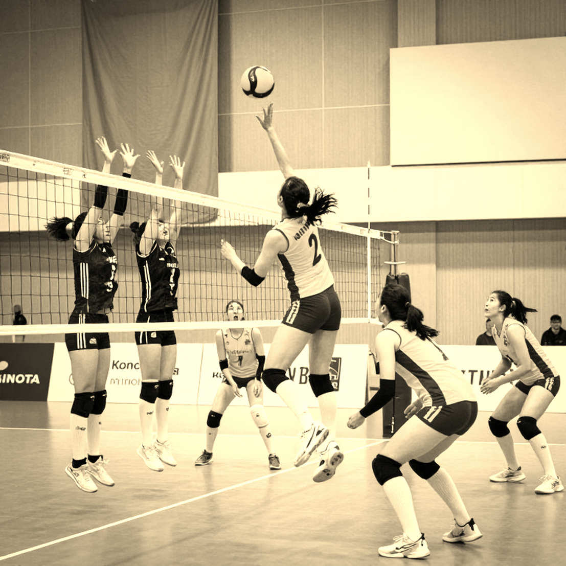 Cameroon cùng Tunisia giành vé dự World Championship 2027: đọc hành trình vào chung kết CAVB bằng dữ liệu Cameroon cùng Tunisia giành vé dự World Championship 2027: đọc hành trình vào chung kết CAVB bằng dữ liệu