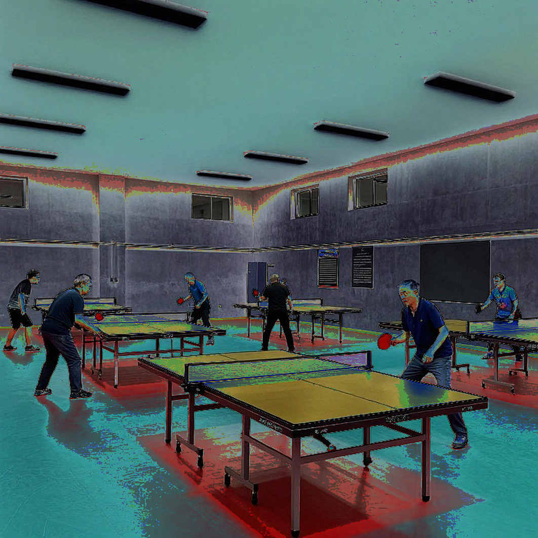Từ ván 11-1 đến Miwa Harimoto: khoảng cách thật của Anna Hursey tại WTT Champions Macao 2026 Từ ván 11-1 đến Miwa Harimoto: khoảng cách thật của Anna Hursey tại WTT Champions Macao 2026