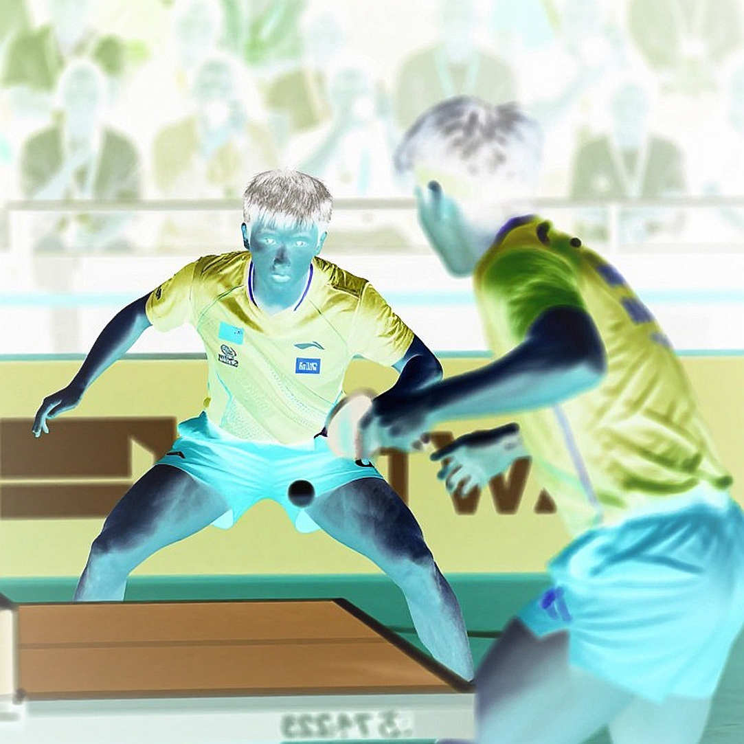 When the Data Goes Blank: Vietnamese Table Tennis and the Limits of Every Analysis When the Data Goes Blank: Vietnamese Table Tennis and the Limits of Every Analysis